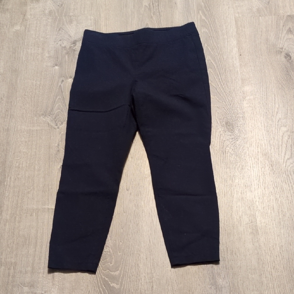 Talbots Navy Skinny Ankle Pants Size 2P